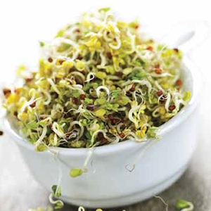 Green Valley Food Corp. BROCCOLI SALAD SPROUTS