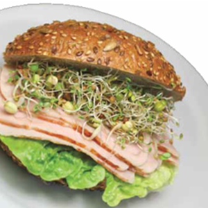 Green Valley Food Corp. BROCCOLI SANDWICH SPROUTS