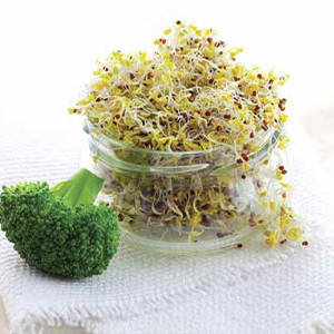 Green Valley Food Corp. BROCCOLI SPROUTS