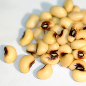 Green Valley Food Corp. FRESH BLACKEYE PEAS