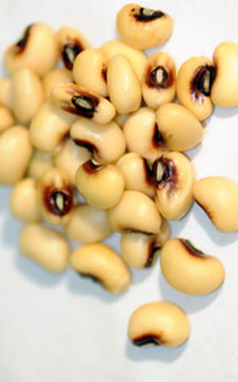 Green Valley Food Corp. FRESH BLACKEYE PEAS